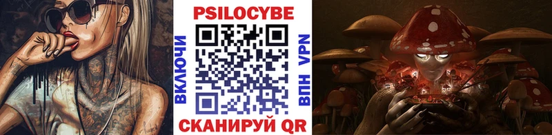 Псилоцибиновые грибы Psilocybine cubensis  даркнет сайт  Вытегра 